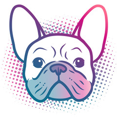 Wall Mural - French bulldog puppy face pop art style portrait illustration in bright neon rainbow colors, with halftone dot background, isolated on white. Dogs, pets, animal lovers theme design element.