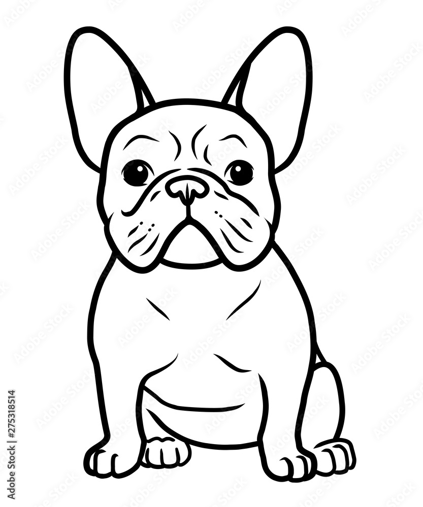French bulldog black and white hand drawn cartoon portrait vector illustration. Funny french bulldog puppy sitting and looking forward. Dogs, pets themed design element, icon, logo, coloring book page - obrazy, fototapety, plakaty 
