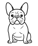 Fototapeta Dinusie - French bulldog black and white hand drawn cartoon portrait vector illustration. Funny french bulldog puppy sitting and looking forward. Dogs, pets themed design element, icon, logo, coloring book page