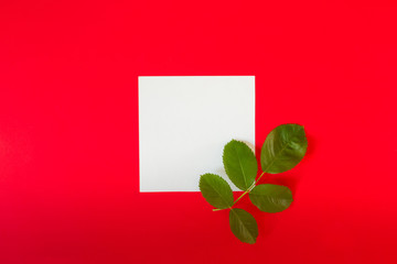 Wall Mural - Creative arrangement of red flowers and leaves on a pastel red background with a paper card note. Blooming rose concept. Flat lay. Minimal nature.