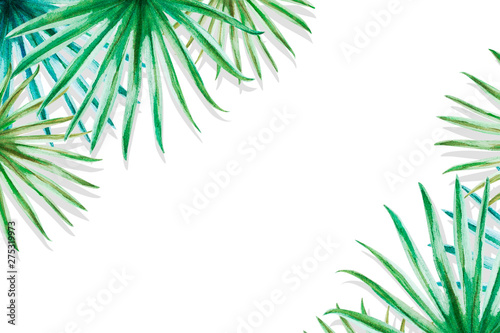 Beautiful frame of tropical leaves. Monstera, palm. Watercolor painting. Exot...