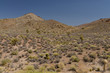 scenic view of Pahranagat Range from Extraterrestrial Highway (Lincoln county, Nevada, USA)