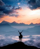 Fototapeta Fototapety góry  - silhouette of deer on top of mountain at sunset