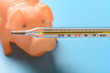 mercury thermometer at  40 degrees centigrade with a pig at background concept of african swine fever