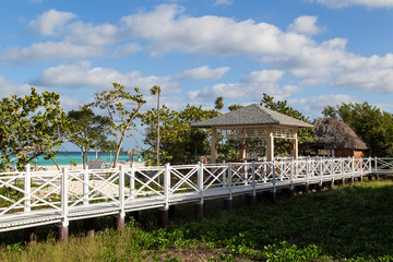 Wall Mural - Wood flooring through vegetation to the sea in Kuba. Horizontally.