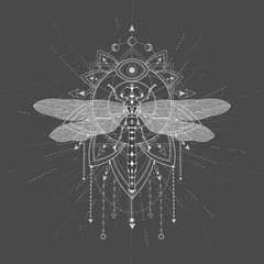 Wall Mural - vector illustration with hand drawn dragonfly and sacred symbol lotus on black background. abstract 