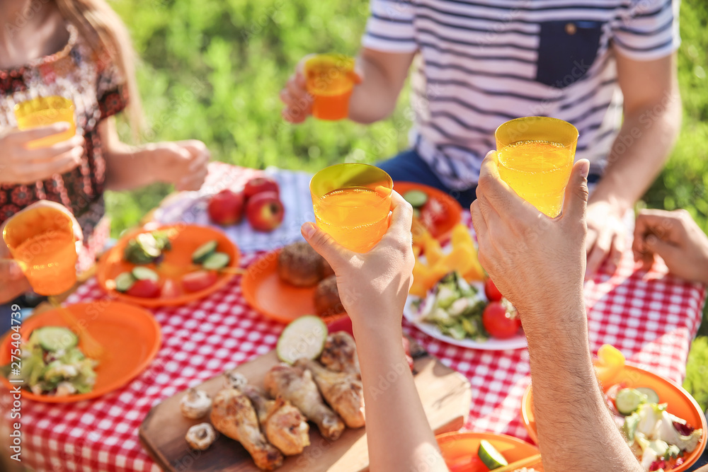 Friends at picnic on summer day