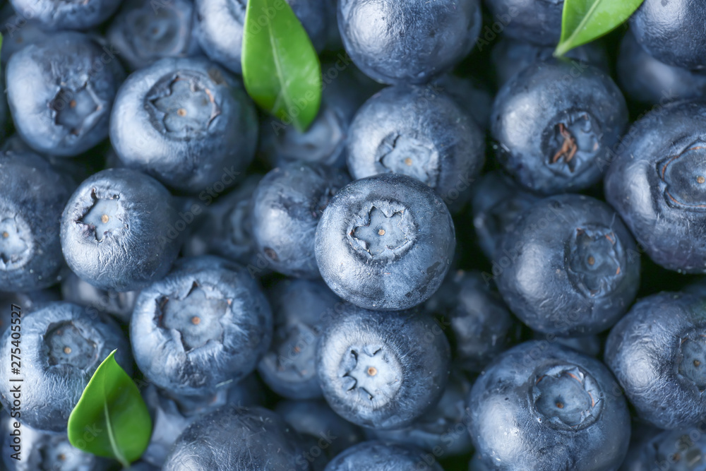Many ripe blueberry as background