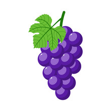 Purple Grapes Isolated On White Background. Bunch Of Purple Grapes With Stem And Leaf. Cartoon Style. Vector Illustration For Any Design.