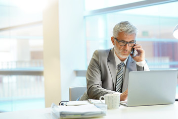 Wall Mural - Businessman talking on cellphone in contemporary office