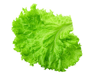 one salad leaf isolated on a white background