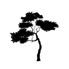 Wall Mural - Black silhouette of african tree on white background. Isolated image of savannah nature. Forest landscape of Africa. Acacia icon