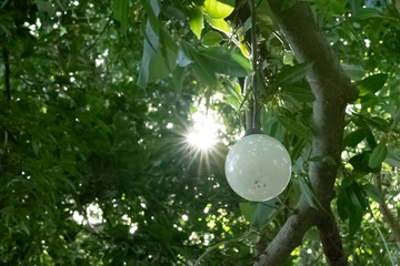 pattern of leaves