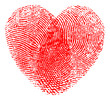 Vector illustration of a red heart made with two fingerprints isolated on white background. High detailed image - Editable vector (eps) file available.