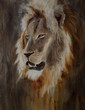 Original oil painting, Portrait of a Lion.