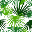 © Liudmila Ozerova - Hand drawn palm leaves with texture pattern. Vector seamless background. Tropical wallpaper.