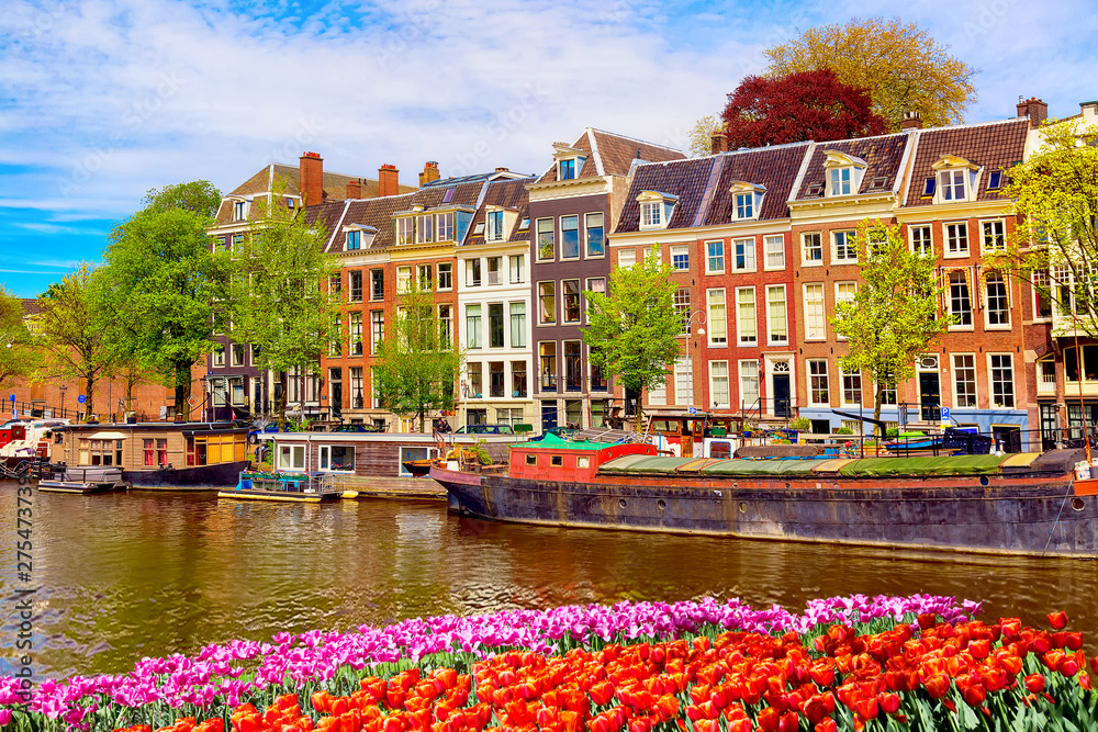 Obraz na płótnie Cityscape view of the canal of Amsterdam in summer with a blue sky and traditional old houses. Colorful spring tulips flowerbed on the foreground. Picturesque of Amsterdam, The Netherlands. w salonie