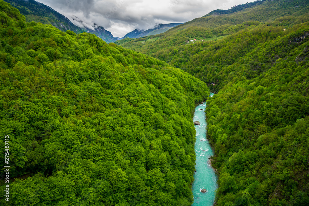 Montenegro, Turquoise waters of tara river flowing through majestic green tara canyon nature landscape crossed by some wires for zip lining - obrazy, fototapety, plakaty 