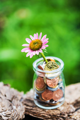 Concept of saving, economy and finance. Coins in a bottle and the blooming flowers, Represents the financial growth