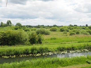 Wall Mural - The fens in East Anglia