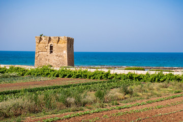 Baroque watchtower, beautiful old tower in San Vito, Polignano a Mare, Bari, Puglia, Italy with with blue sea, beach and agriculture cultivated field, Mediterranean landscape