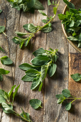 Raw Green Organic Oregano