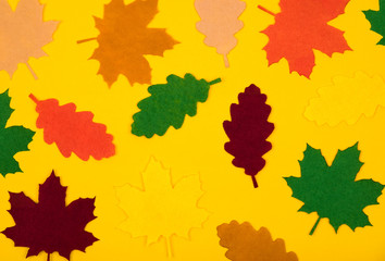 Top view of decorative multi colored felt leaves. Autumn background.