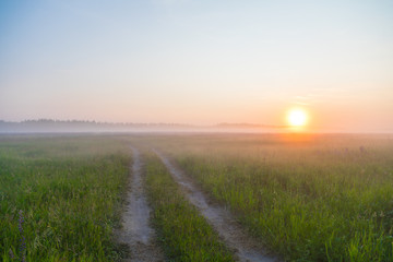 sunrise in the field