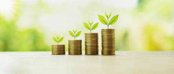 Poster - money stack with plant growing. finance and accounting concept
