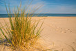 © hjschneider - beach grass on a beach of the Baltic sea