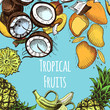 Vector illustration sketch coconut, mango, banana, pineapple. Illustration - exotic fruit.