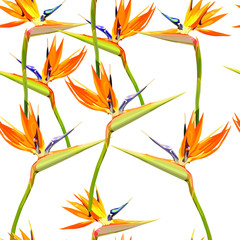 Seamless background with Strelitzia Reginae orange tropical flower. Vector illustration, EPS 10