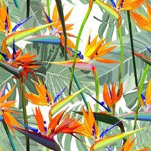 Seamless Background With Strelitzia Reginae Orange Tropical Flower. Vector Illustration, EPS 10