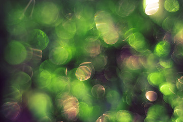 Wall Mural - Beautiful light bokeh on a green background.