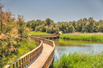 Wall Mural - Tablas de Daimiel National Park, Spain