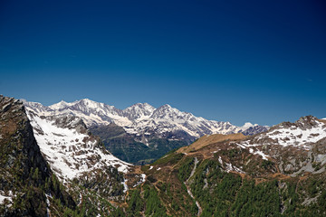 Wall Mural - panoramic view of the swiss alps with their glaciers.