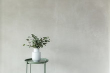 White Vase And Tree In White Room Studio , Minimal Style Background And Copy Space .