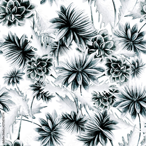 Summer, autumn flower chrysanthemum, field, garden beautiful plants, hand dra...
