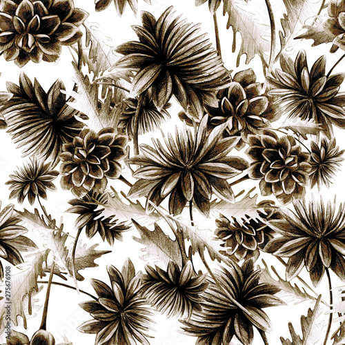 Summer, autumn flower chrysanthemum, field, garden beautiful plants, hand dra...