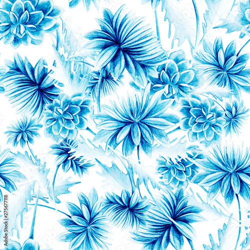 Summer, autumn flower chrysanthemum, field, garden beautiful plants, hand dra...