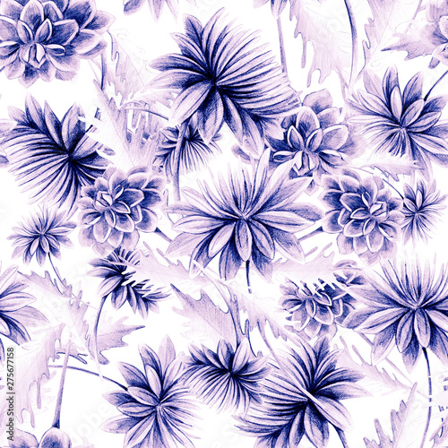 Summer, autumn flower chrysanthemum, field, garden beautiful plants, hand dra...