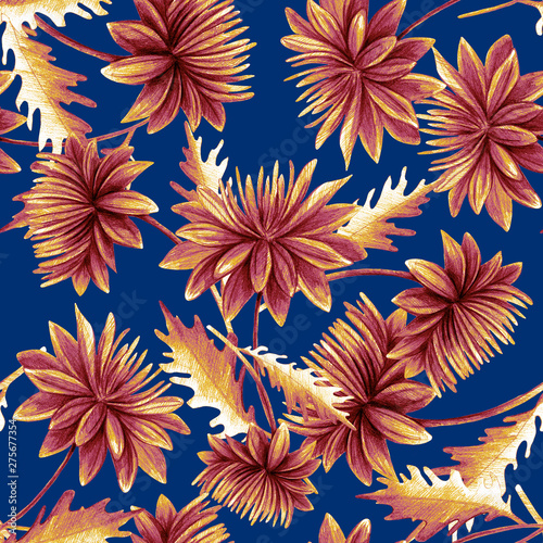 Summer, autumn flower chrysanthemum, field, garden beautiful plants, hand dra...