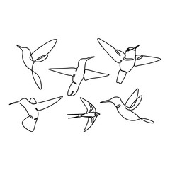 bird continuous line drawing set collections design on white background