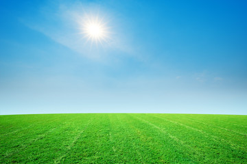 Green grass and blue sky On a sunny day