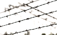 Barbed Wire Also On The Border Without People
