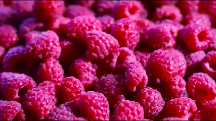 Wall Mural - Red Raspberry, Close up, Circular Motion. Fresh Raspberry. Food Background. Top View.