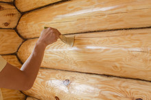 Applying Varnish Paint On A Wooden Surface. Man Hand With A Brush  Closeup. Painting Walls Of A Log House.