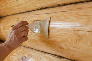 Wall Mural - Applying varnish paint on a wooden surface. Man hand with a brush  closeup. Painting walls of a log house.