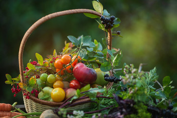 Wall Mural - Still life of fresh vegetables in the fresh air on a natural green background