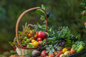 Wall Mural - Still life of fresh vegetables in the fresh air on a natural green background